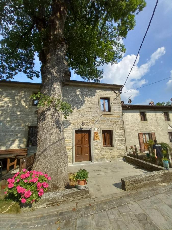 Casina La Quercia Apartment Santa Sofia Exterior photo