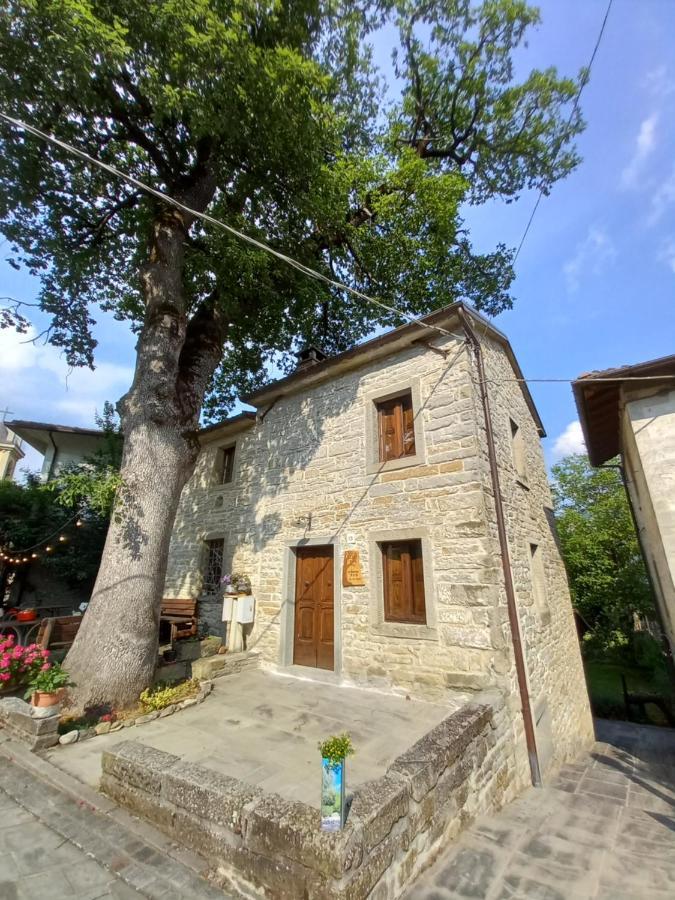 Casina La Quercia Apartment Santa Sofia Exterior photo