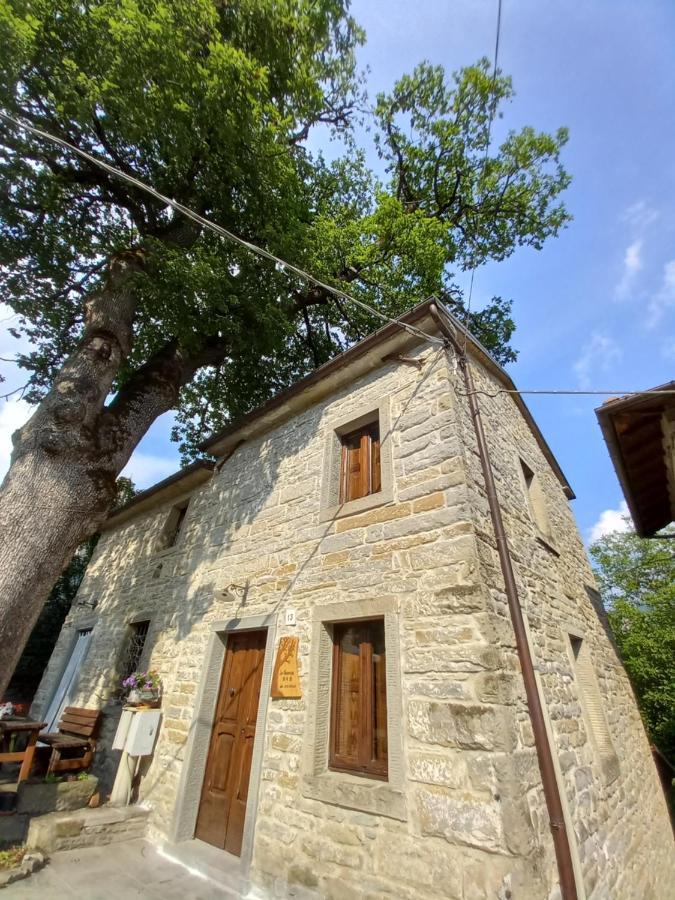 Casina La Quercia Apartment Santa Sofia Exterior photo
